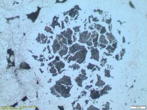 مغز پس از نیتروژن-کربن‌ دهی گازی